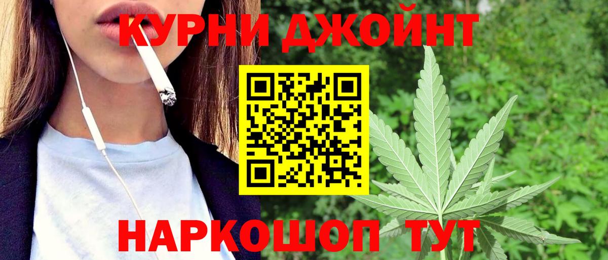 Каннабис семена Новокубанск